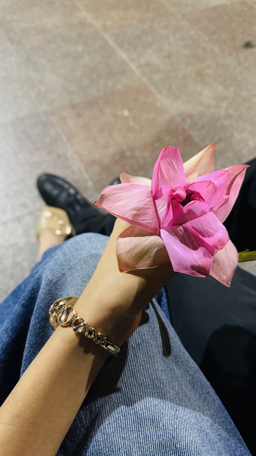 A pink lotus held in a hand